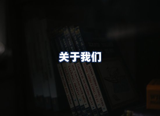 关于我们